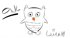 Owl