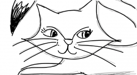 Kitty