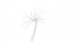 Unnamed