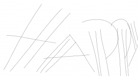 Unnamed