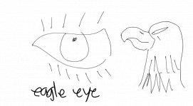 Eagle eye