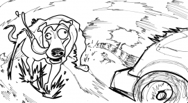 dog training