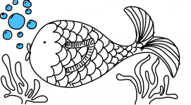 Here, fishy fishy