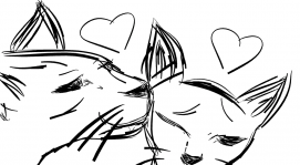 Catly love