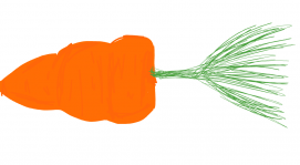 Carrot... Directioners will understand