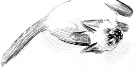 Unnamed