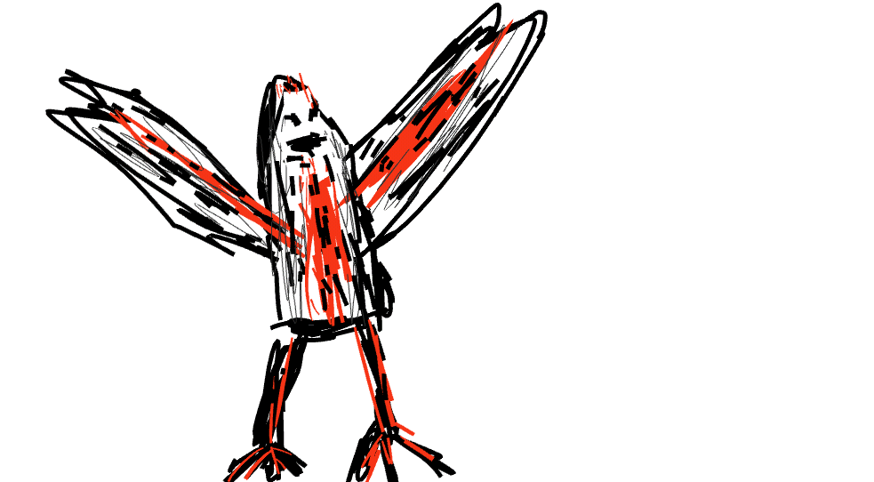 THE owl