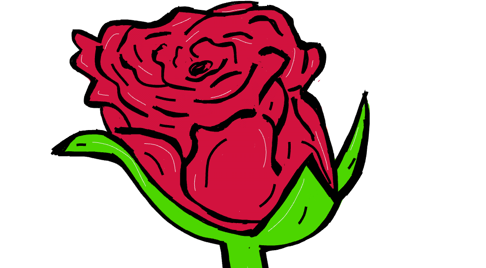 Rose