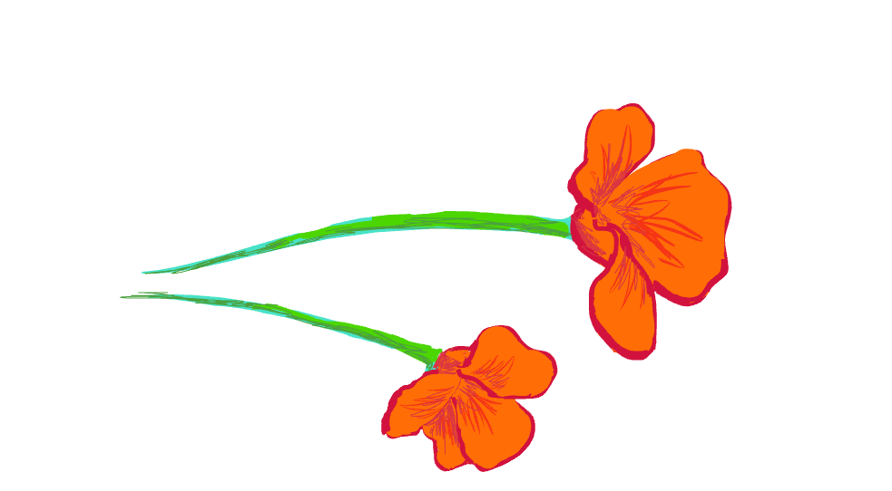 Simple Flowers