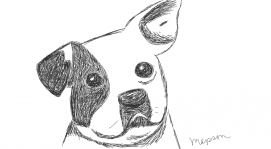 Doggie