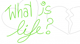 What is life ?