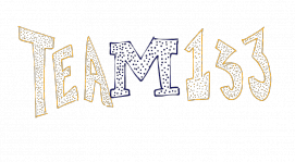 #TEAM133