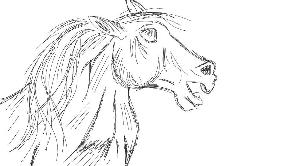 @Esme Macleod - Heres a horse I drew just for you...