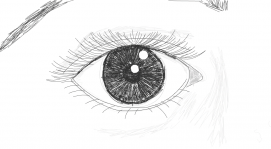 Unnamed