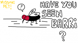 I've lost my pet fly :'(