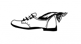 Shoeshi