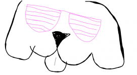 kool dog