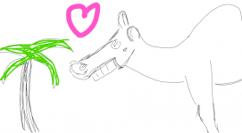Crazy camel