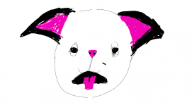 Weird cat thing