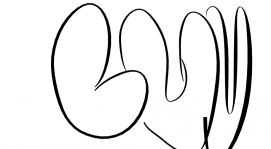 Unnamed