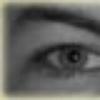brianbaute