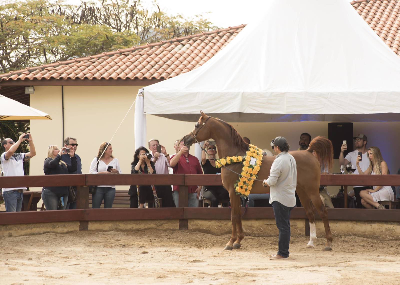 2018 Farm Tour - Horses