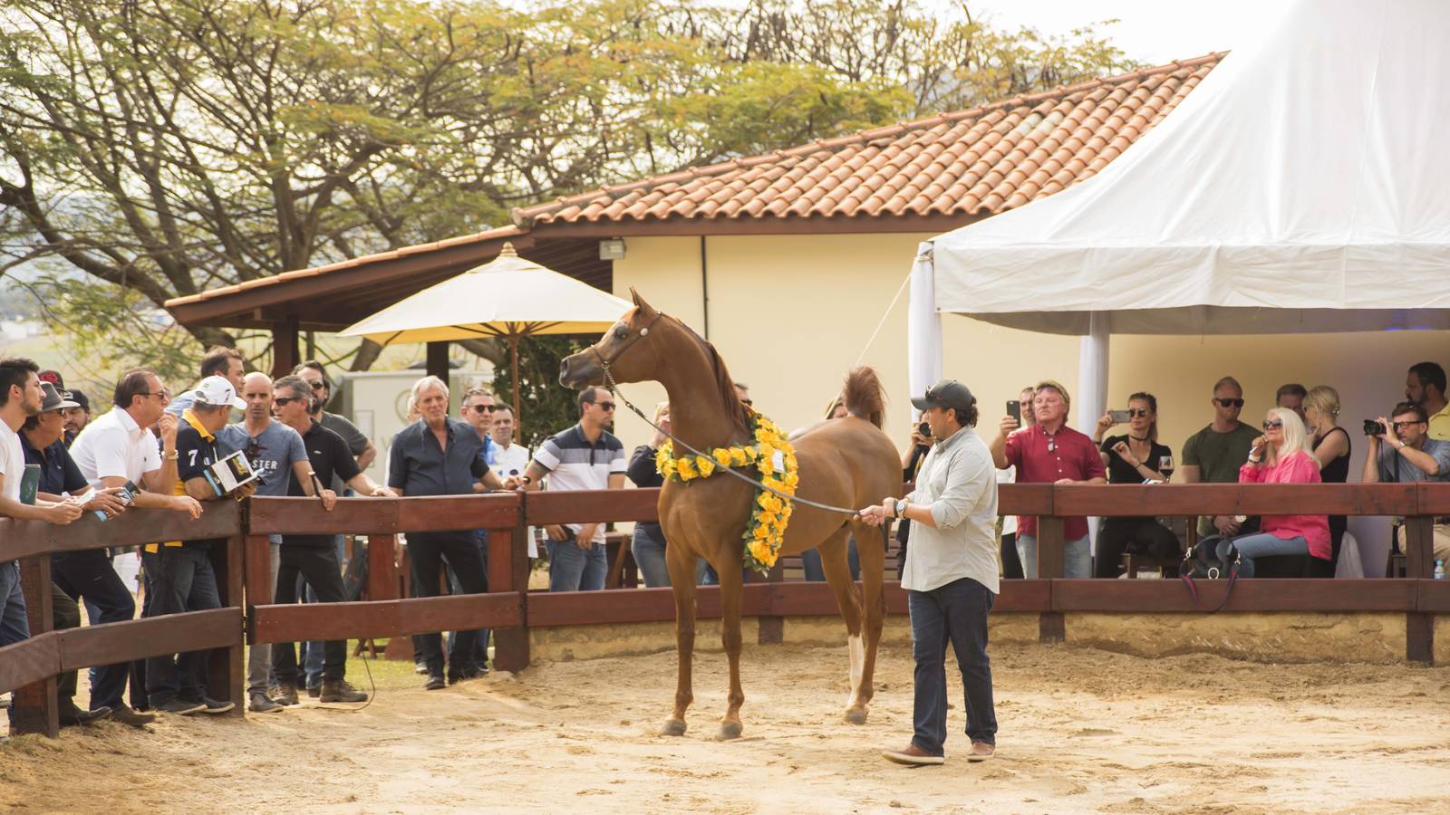 2018 Farm Tour - Horses