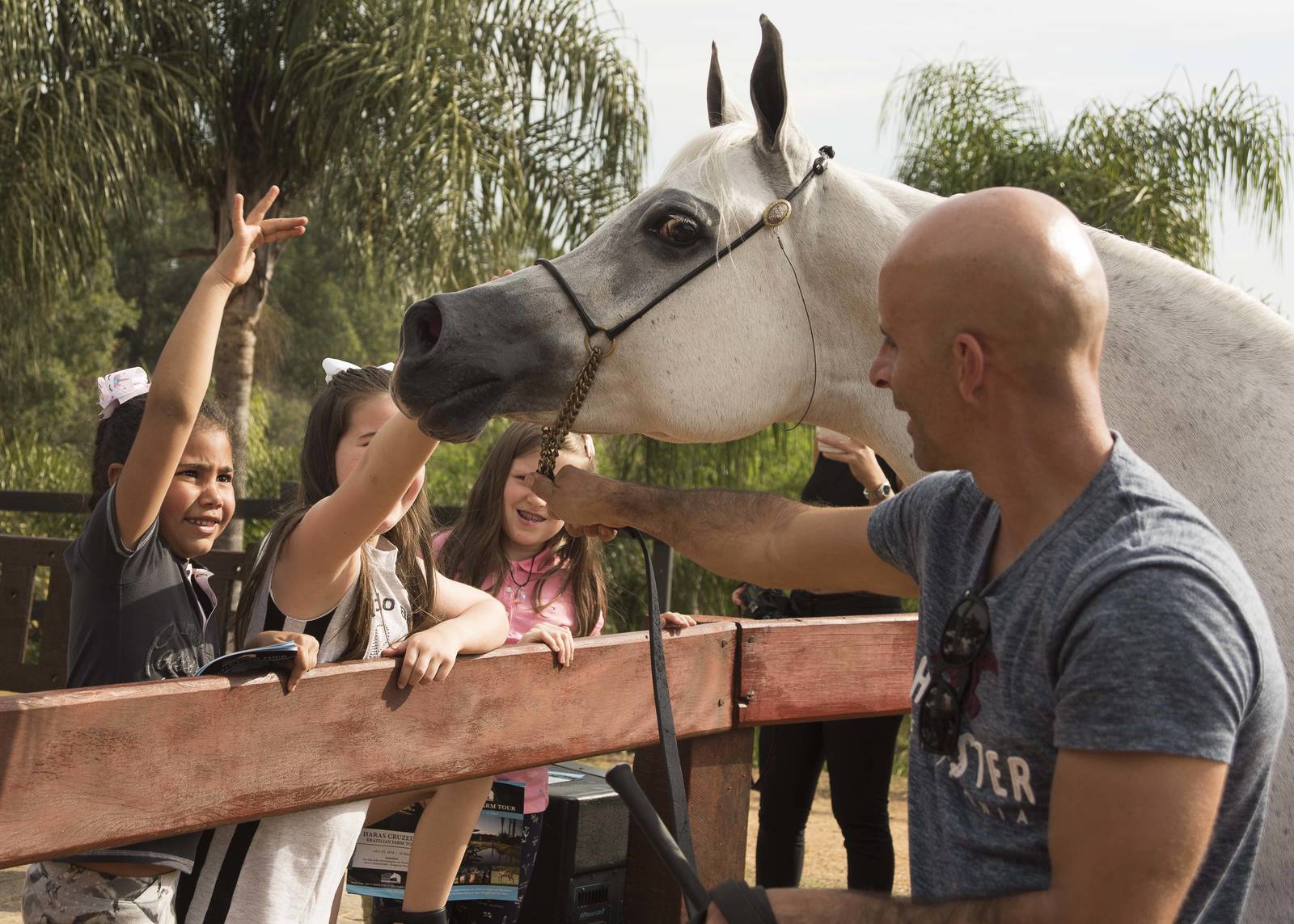 2018 Farm Tour - Horses
