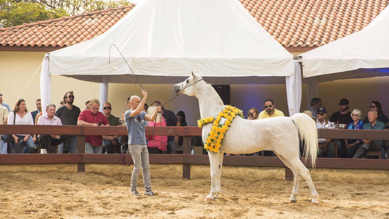 2018 Farm Tour - Horses