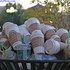 Chilliwack Starbucks