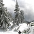 Mount Hollyburn