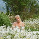 My_back_yard_018