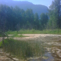 Img00845-20090610-0947