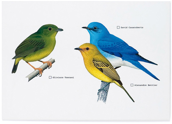 Originals_1582-birds