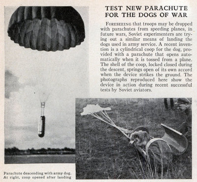 Nuclear Disintegrating Parachutist Canine