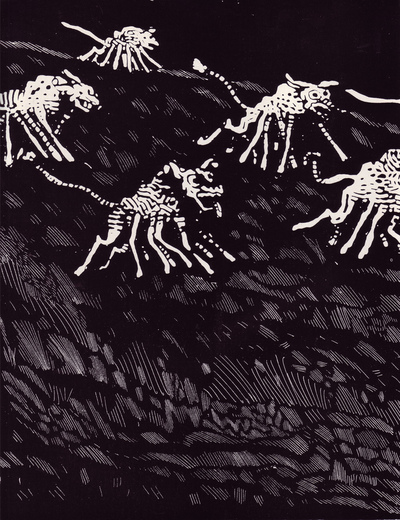 Joel Rothberg's Illustrations for A Princess of Mars