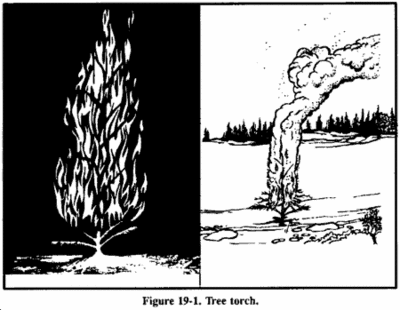 Tree Torch