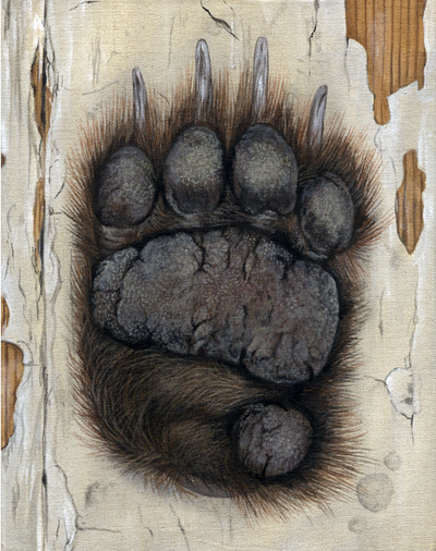 A Paw is All