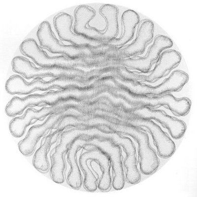 Form is the Language of Time