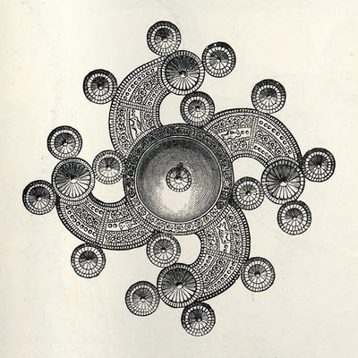 Icelandic Double Sun-Snake
