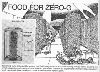 Space Farming (Continued)