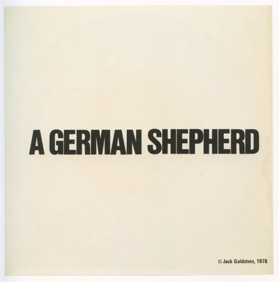 A German Shepherd