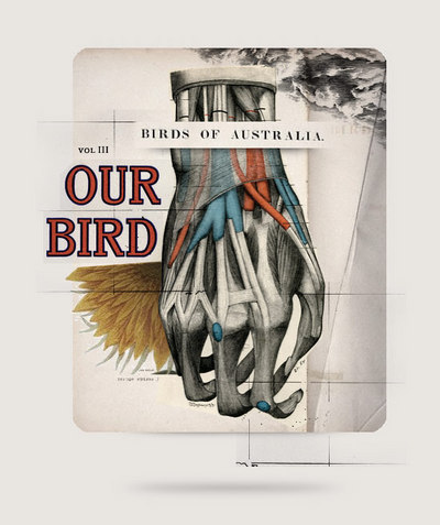 Our Bird