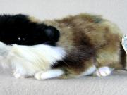 Lemmingkiller's profile