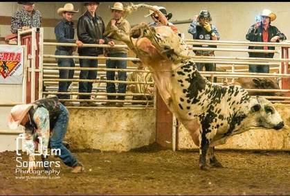 Buckin' Ohio Brings Top Notch Bulls to Congress