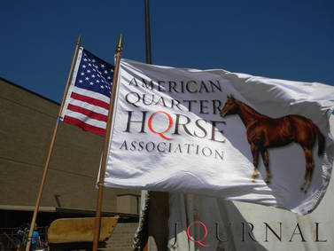 AQHA Rule-Change Proposals
