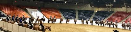 Eastern Ohio Quarter Horse Show update