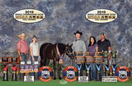 2019 Congress Super Sale – Entries Still Accepted for All Sessions.