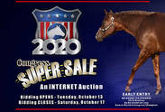 How to Bid in the Congress Online Super Sale