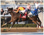 American Hustler, Folly N Dash Win All American Congress Stakes